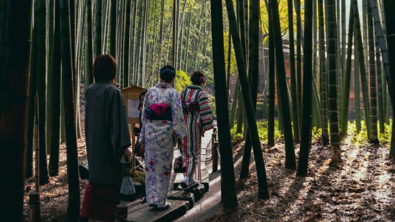 Japón: la tierra del Sol naciente